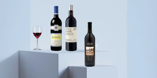 Mastering Merlot: A Comprehensive Guide to the Varietal