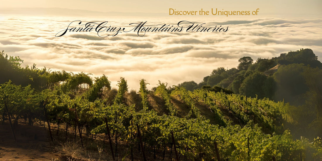 Discover the Uniqueness of Santa Cruz Mountains Wineries