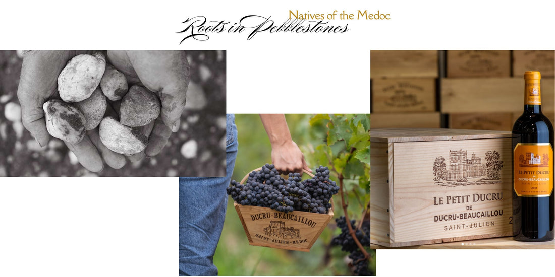 Natives Of The Medoc. Rooted In Beautiful Pebbles