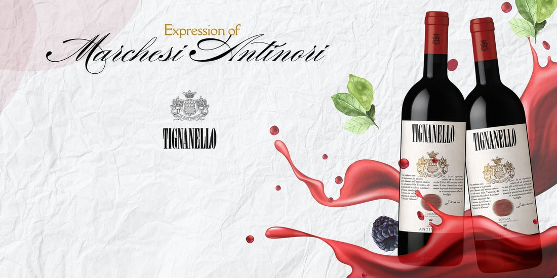 Tignanello Wine Singapore |Winetogousa.com